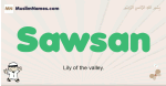Sawsan muslim boys name and meaning, islamic boys name Sawsan
