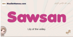 Sawsan muslim girls name and meaning, islamic girls name Sawsan