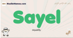 Sayel muslim boys name and meaning, islamic boys name Sayel