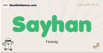 Sayhan muslim boys name and meaning, islamic boys name Sayhan