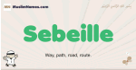 Sebeille muslim boys name and meaning, islamic boys name Sebeille