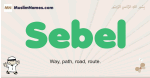 Sebel muslim boys name and meaning, islamic boys name Sebel