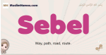 Sebel muslim girls name and meaning, islamic girls name Sebel