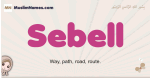 Sebell muslim girls name and meaning, islamic girls name Sebell