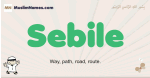 Sebile muslim boys name and meaning, islamic boys name Sebile