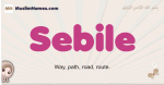 Sebile muslim girls name and meaning, islamic girls name Sebile
