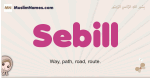 Sebill muslim girls name and meaning, islamic girls name Sebill