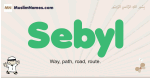 Sebyl muslim boys name and meaning, islamic boys name Sebyl