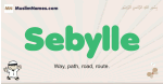 Sebylle muslim boys name and meaning, islamic boys name Sebylle