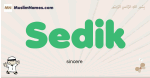 Sedik muslim boys name and meaning, islamic boys name Sedik