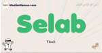Selab muslim boys name and meaning, islamic boys name Selab