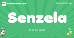 Senzela arabic girl name and meaning, quranic girls name Senzela