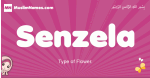 Senzela arabic girls name and meaning, muslim girl name Senzela