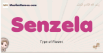 Senzela muslim girls name and meaning, islamic girls name Senzela
