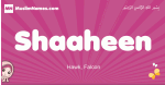 Shaaheen arabic girls name and meaning, quranic girls name Shaaheen