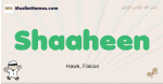 Shaaheen muslim boys name and meaning, islamic boys name Shaaheen