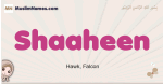 Shaaheen muslim girls name and meaning, islamic girls name Shaaheen