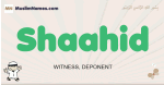 Shaahid muslim boys name and meaning, islamic boys name Shaahid