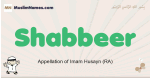 Shabbeer muslim boys name and meaning, islamic boys name Shabbeer