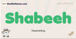 Shabeeh muslim boys name and meaning, islamic boys name Shabeeh