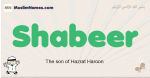 Shabeer muslim boys name and meaning, islamic boys name Shabeer