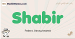 Shabir muslim boys name and meaning, islamic boys name Shabir