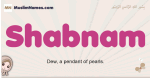Shabnam muslim girls name and meaning, islamic girls name Shabnam
