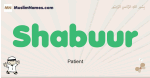 Shabuur muslim boys name and meaning, islamic boys name Shabuur