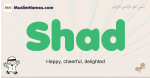 Shad muslim boys name and meaning, islamic boys name Shad