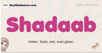 Shadaab muslim girls name and meaning, islamic girls name Shadaab
