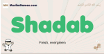 Shadab muslim boys name and meaning, islamic boys name Shadab