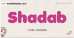 Shadab muslim girls name and meaning, islamic girls name Shadab