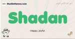 Shadan muslim boys name and meaning, islamic boys name Shadan