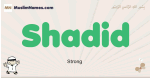 Shadid muslim boys name and meaning, islamic boys name Shadid