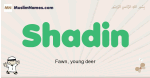 Shadin muslim boys name and meaning, islamic boys name Shadin