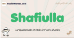 Shafiulla muslim boys name and meaning, islamic boys name Shafiulla