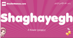 Shaghayegh arabic girls name and meaning, muslim girl name Shaghayegh
