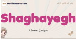 Shaghayegh muslim girls name and meaning, islamic girls name Shaghayegh