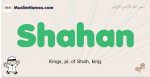 Shahan muslim boys name and meaning, islamic boys name Shahan