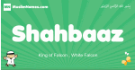 Shahbaaz arabic boys name and meaning, quranic boys name Shahbaaz