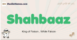 Shahbaaz muslim boys name and meaning, islamic boys name Shahbaaz