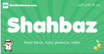 Shahbaz arabic boys name and meaning, quranic boys name Shahbaz