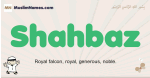 Shahbaz muslim boys name and meaning, islamic boys name Shahbaz