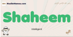 Shaheem muslim boys name and meaning, islamic boys name Shaheem