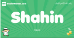 Shahin arabic boys name and meaning, quranic boys name Shahin
