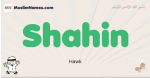 Shahin muslim boys name and meaning, islamic boys name Shahin
