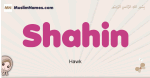 Shahin muslim girls name and meaning, islamic girls name Shahin