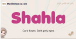 Shahla muslim girls name and meaning, islamic girls name Shahla