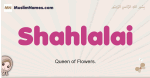 Shahlalai muslim girls name and meaning, islamic girls name Shahlalai