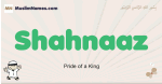 Shahnaaz muslim boys name and meaning, islamic boys name Shahnaaz